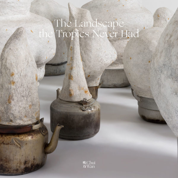 The Landscape The Tropics Never Had